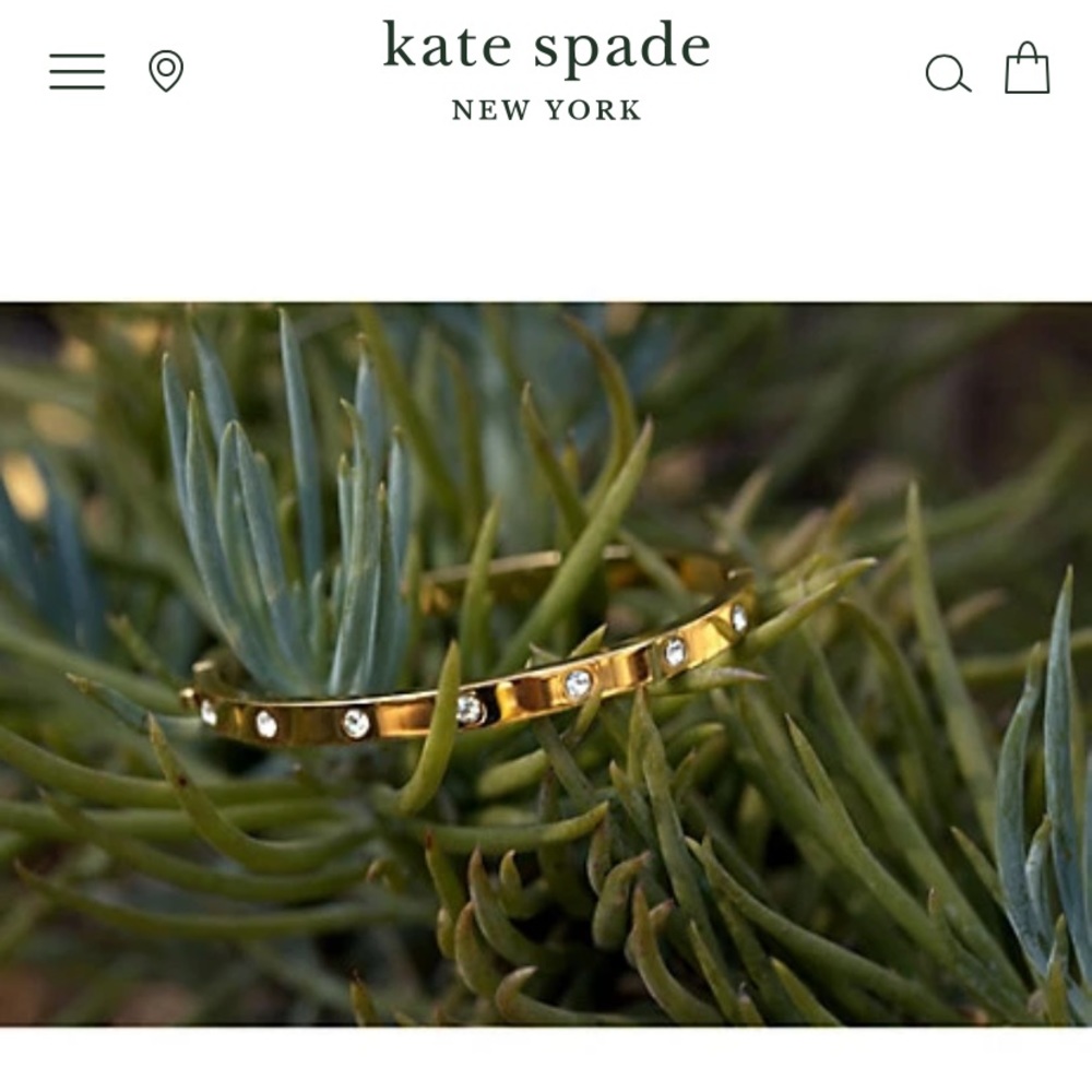 Kate Spade Set in Stone Hinged Bangle